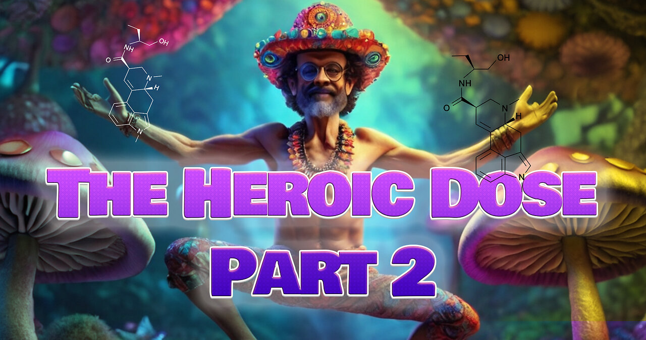 Terrence McKenna and the Heroic Dose - Part 2