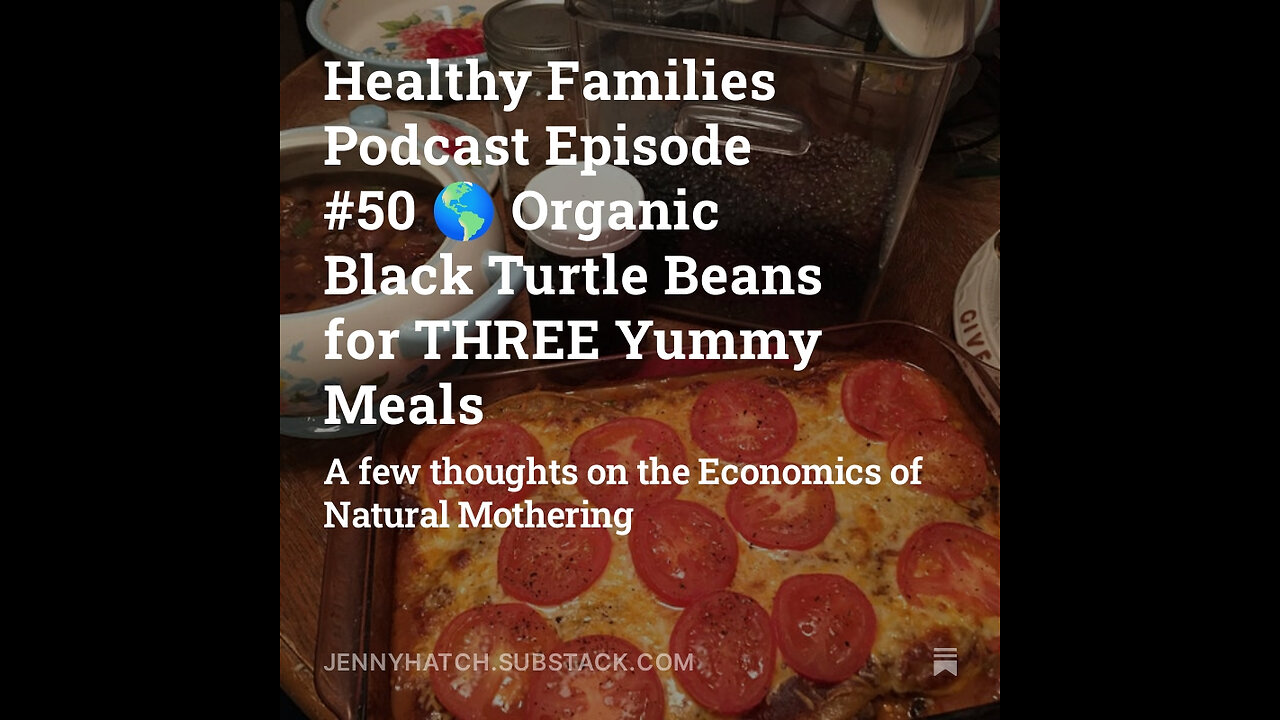 Healthy Families Podcast Episode #50 🌎 Economics of Natural Mothering 🌏