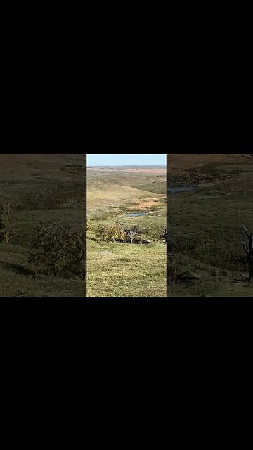 Making a geyser at 300+ with my 6.5 Grendel. #shorts