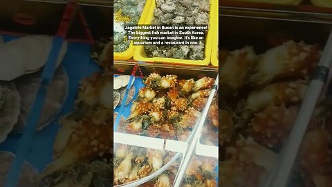 Jagalchi Fish Market in South Korea is an experience #Busan #koreanfood #streetfood #culture #travel