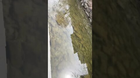 #종로5가#청개천