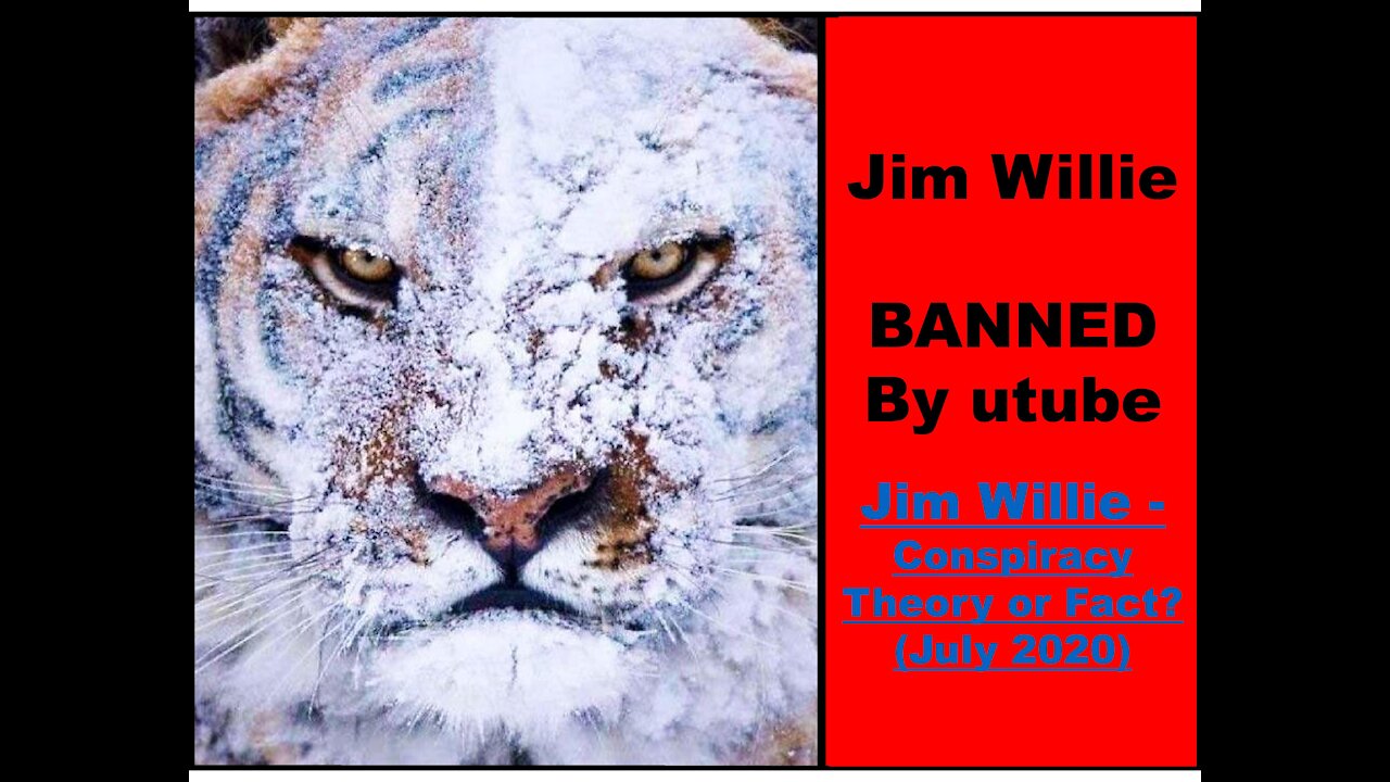 Jim Willie - Conspiracy Theory or Fact? (July 2020)