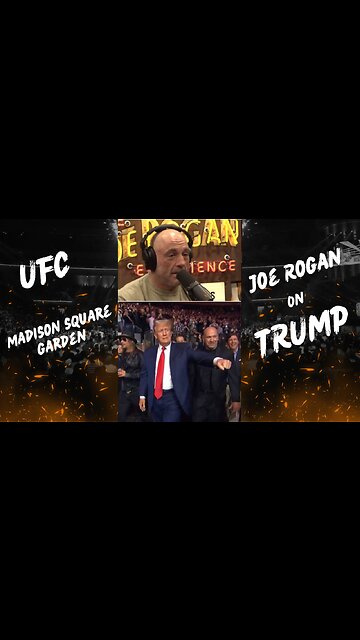 Joe Rogan on Trump at the UFC Fight at Madison Square Garden New York