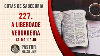 🔴 227. A liberdade verdadeira - Salmo 119.45 - Pr. Nilson Lima #DEVOCIONAL