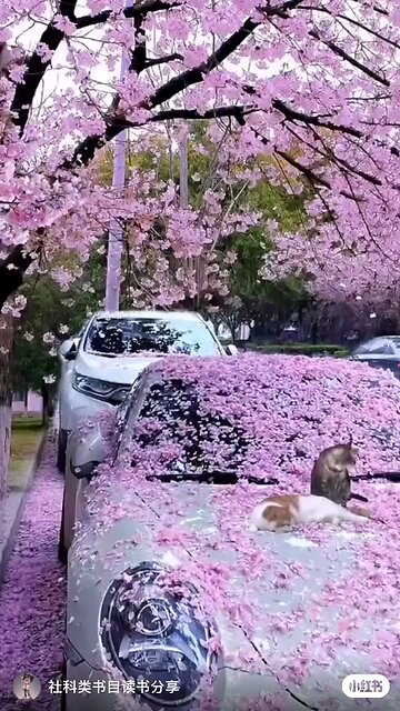 Amazing places earth