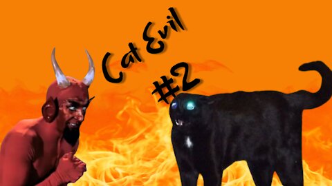 Evil Cat is attacking people