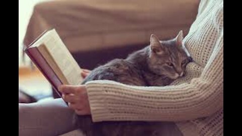 Here ’s what It actually means when your cat curls Up with you for cuddles.