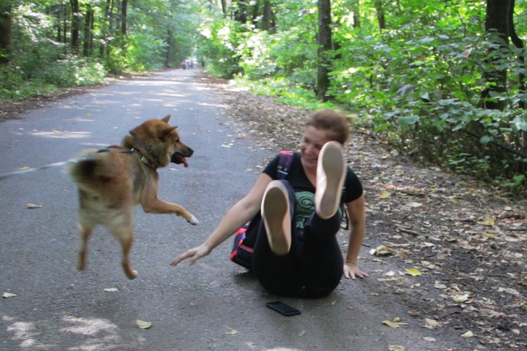 Dog overexcited to see his owner, pushes him down on the ground