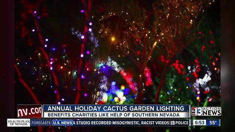 Annual Holiday Cactus Garden Lighting