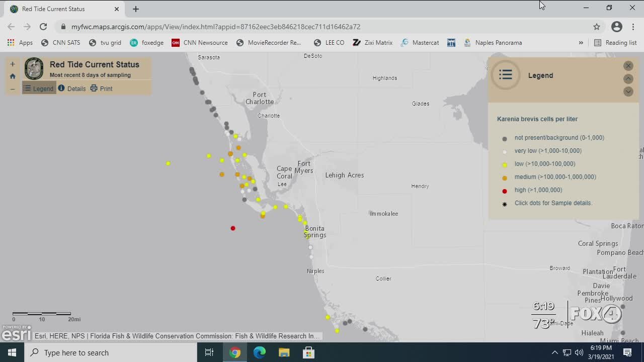 Red tide blooms present in Lee County