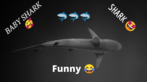 2020 Cutest Baby Shark Happy Shark Cute Baby Animals Reaction (Funny animals #106).