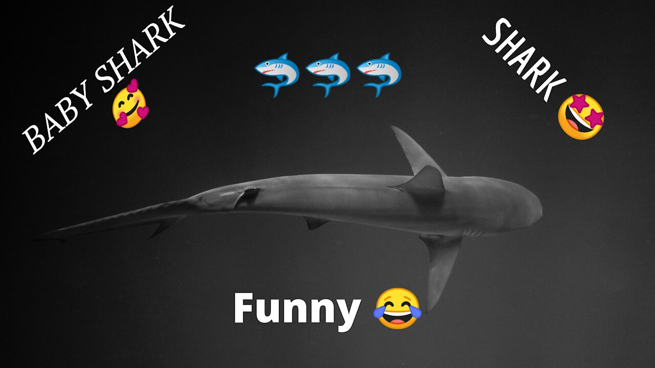 2020 Cutest Baby Shark Happy Shark Cute Baby Animals Reaction (Funny animals #106).