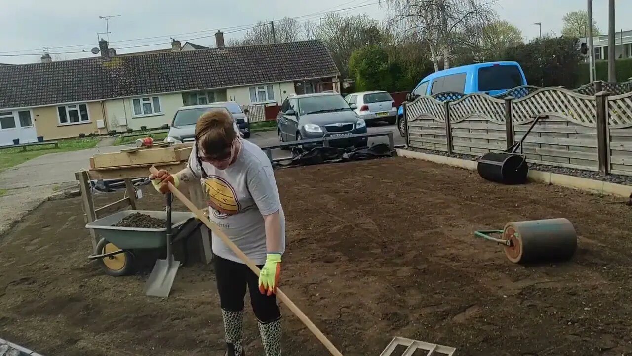 11.04.23 levelling the lawn ready for seed #barenbrug rpr sport &csi creeping ryegrass
