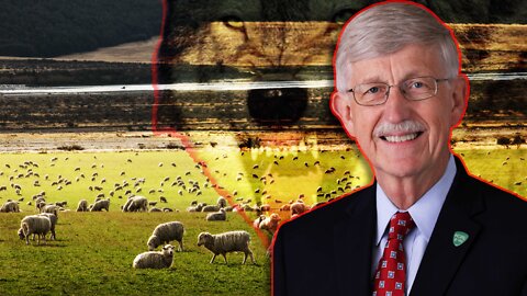 Francis Collins: WOLF Uses Vaccines to Attack SHEEP