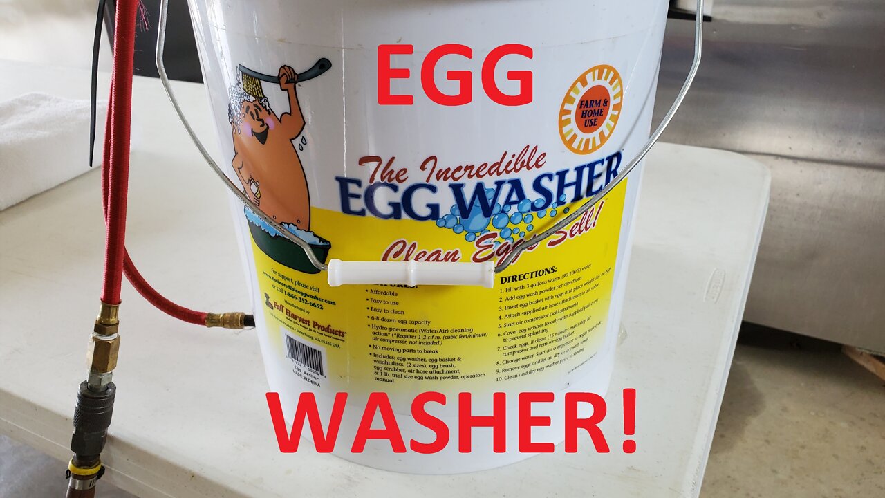 The Egg Incredible Washer