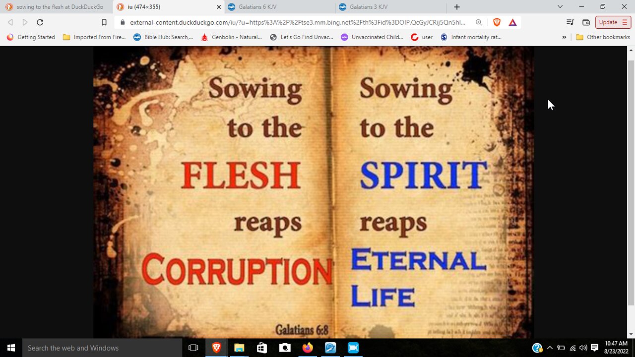 Sowing to the flesh or to the Spirit
