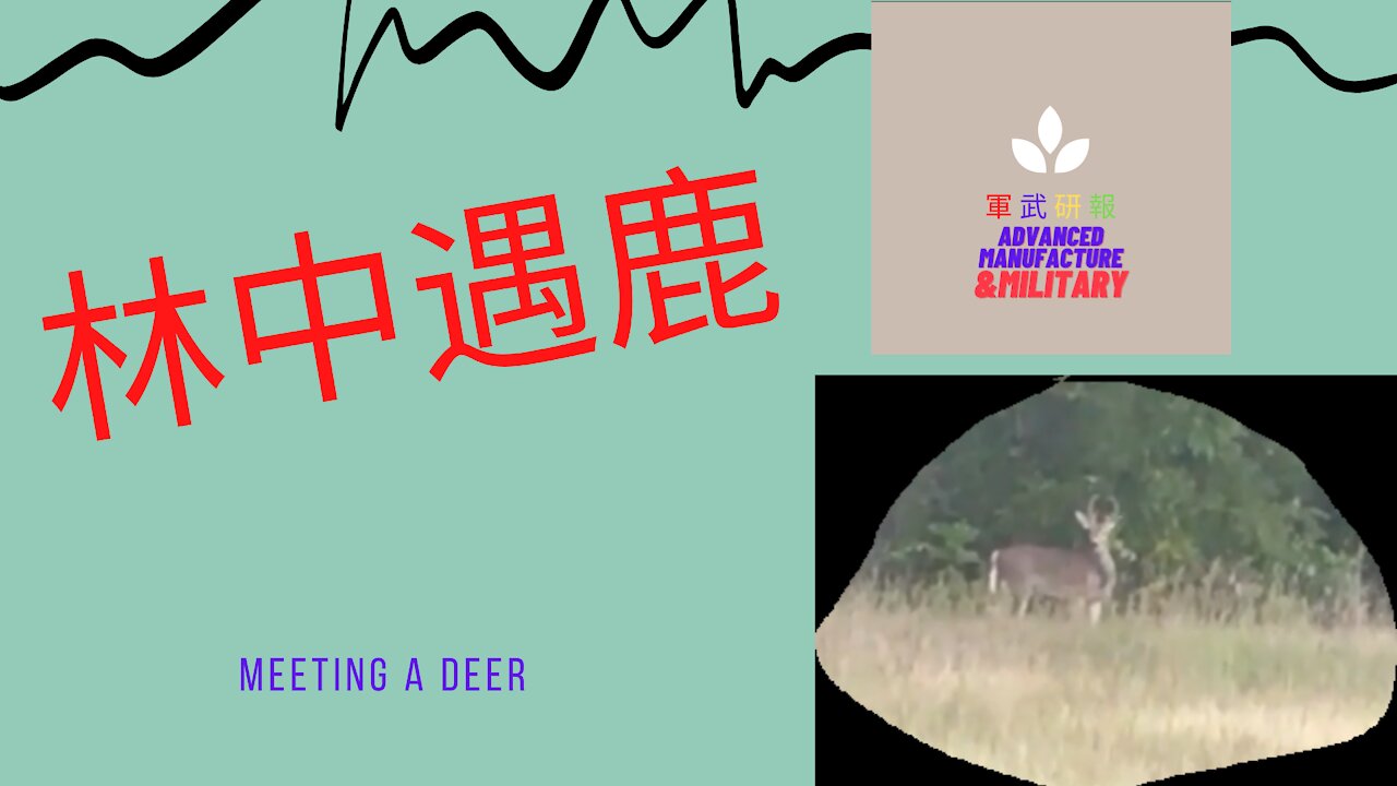 102 林中遇鹿
