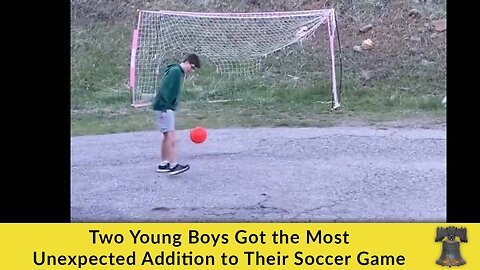 Two Young Boys Got the Most Unexpected Addition to Their Soccer Game