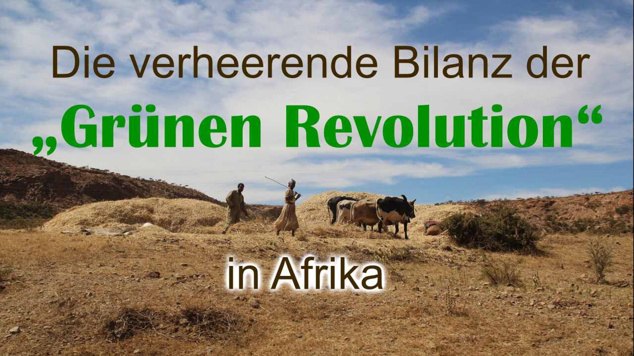 Die verheerende Bilanz der "Grünen Revolution" in Afrika