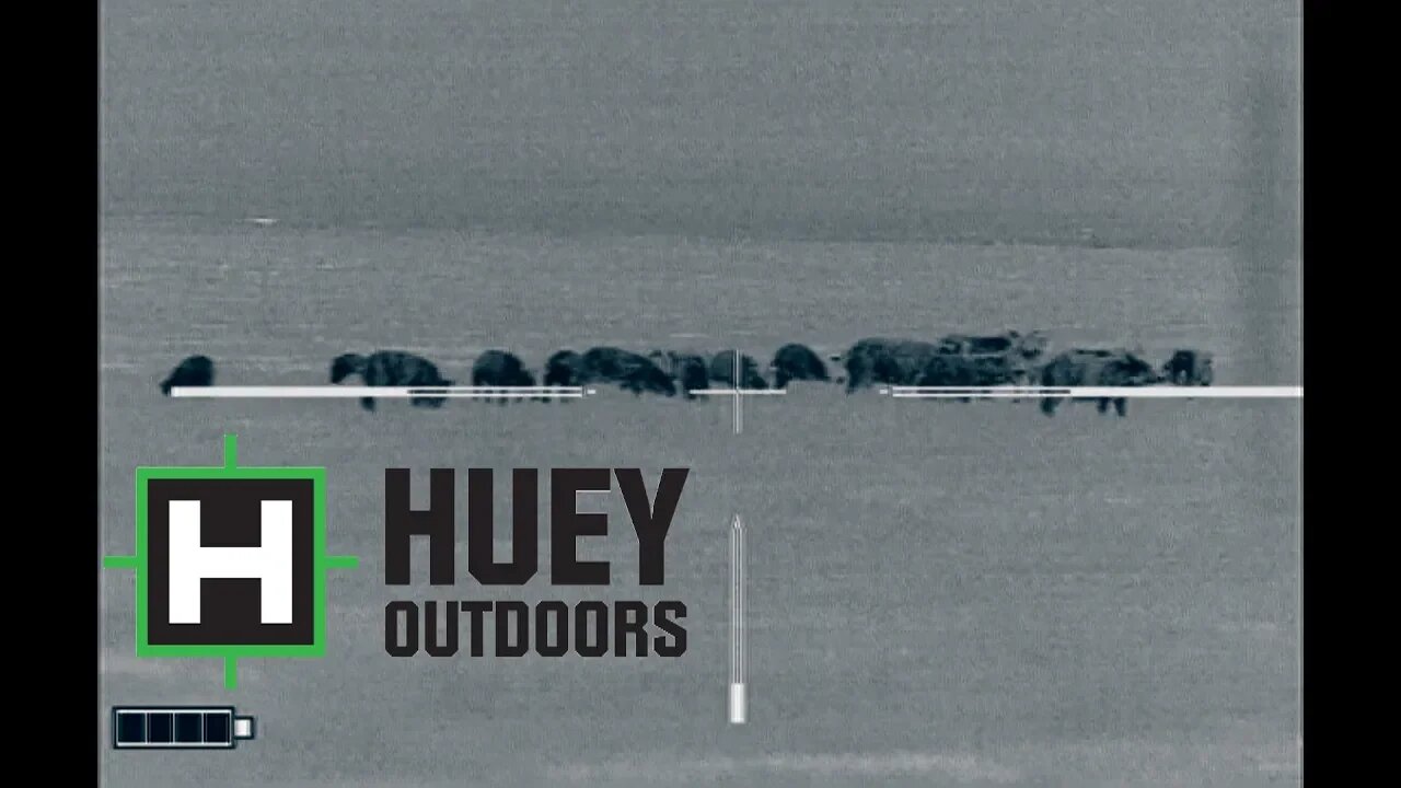 THERMAL HOG HUNTING WITH THE TRIJICON REAP-IR 60MM