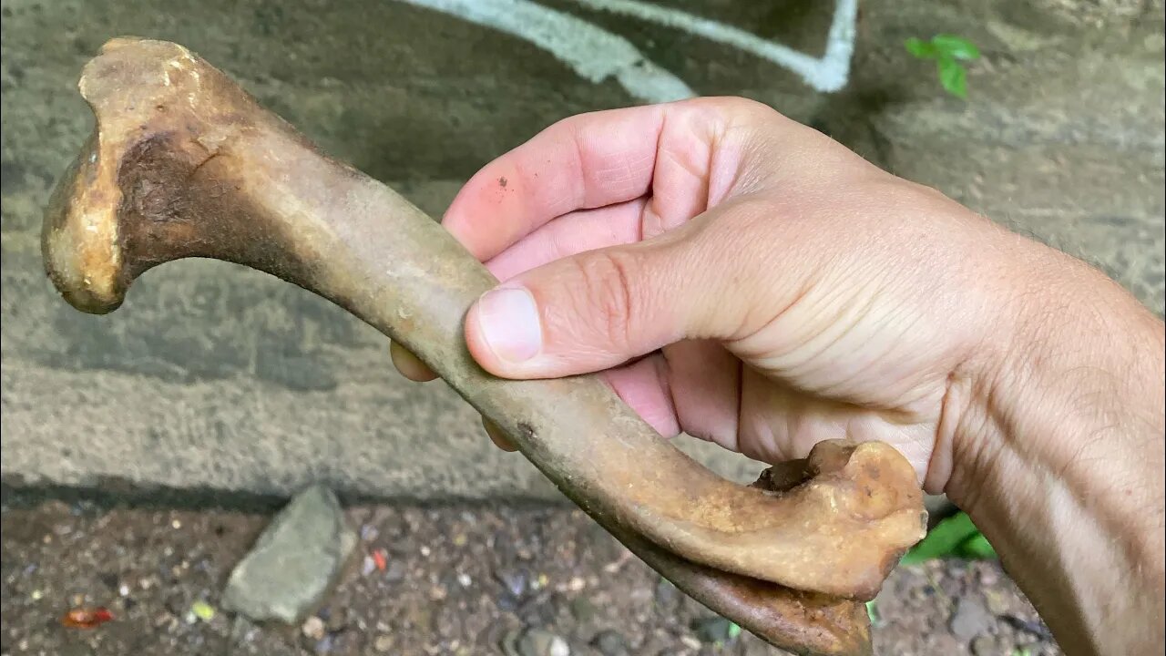 Search for Gretchen: Bone Found