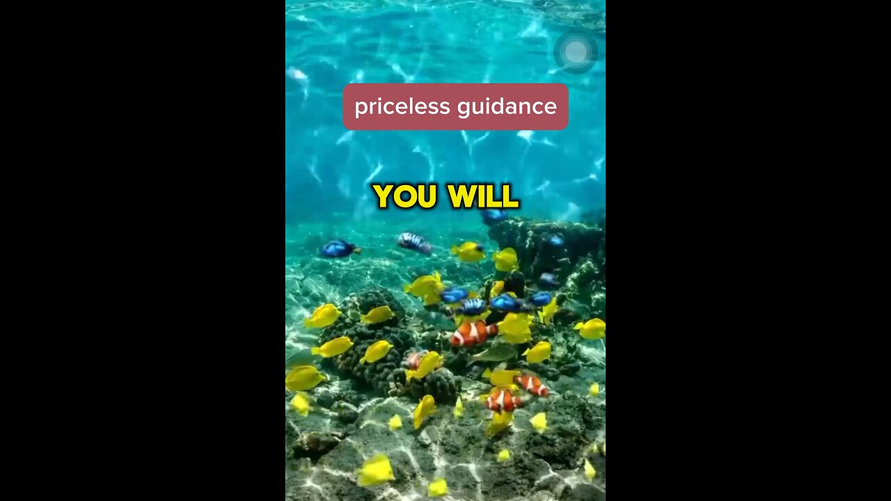 priceless guidance✨