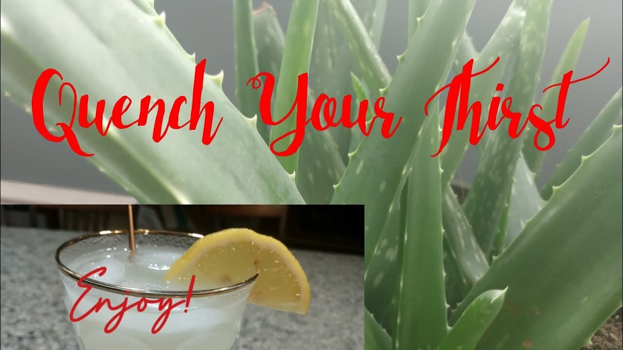 HOW TO MAKE ALOE VERA JUICE USING PRESERVED GEL