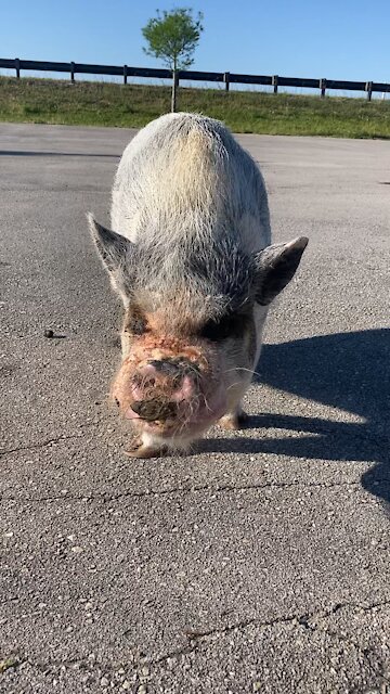 Whitmer moves to Space coast