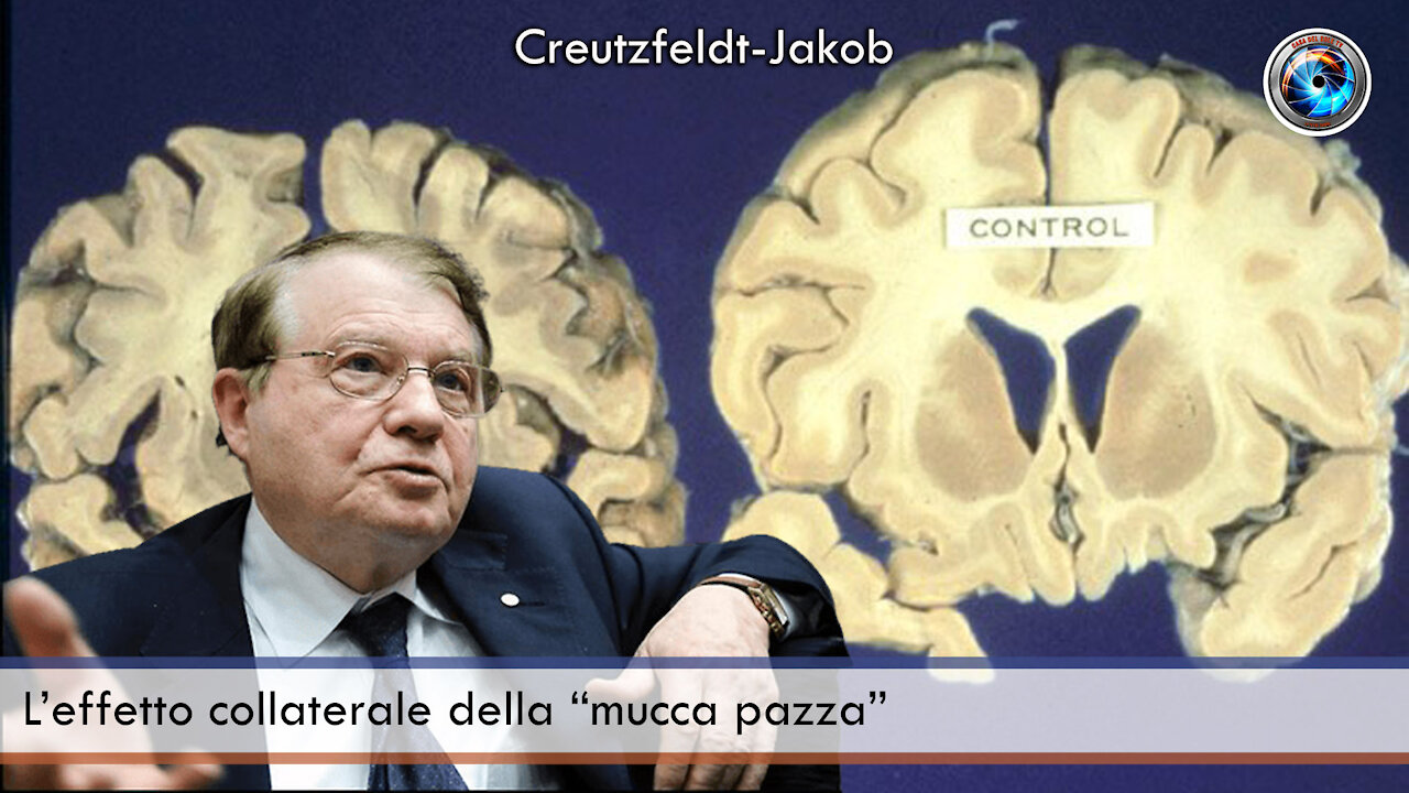 L’effetto collaterale della “mucca pazza