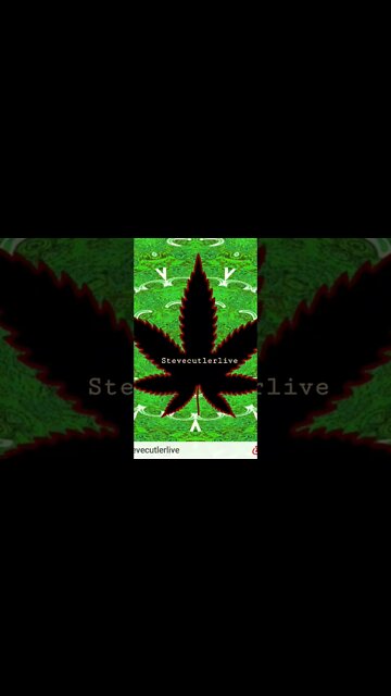 Johnny B. Goode a cover by Stever