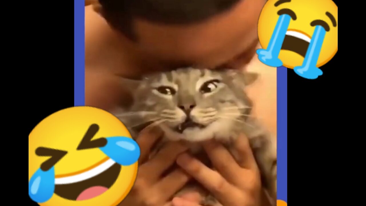 Try Not To Laugh While Watching This Compilation Of Funny Animal Videos