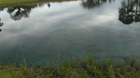 Me and Toni feeding the fish 3/25/22 #3