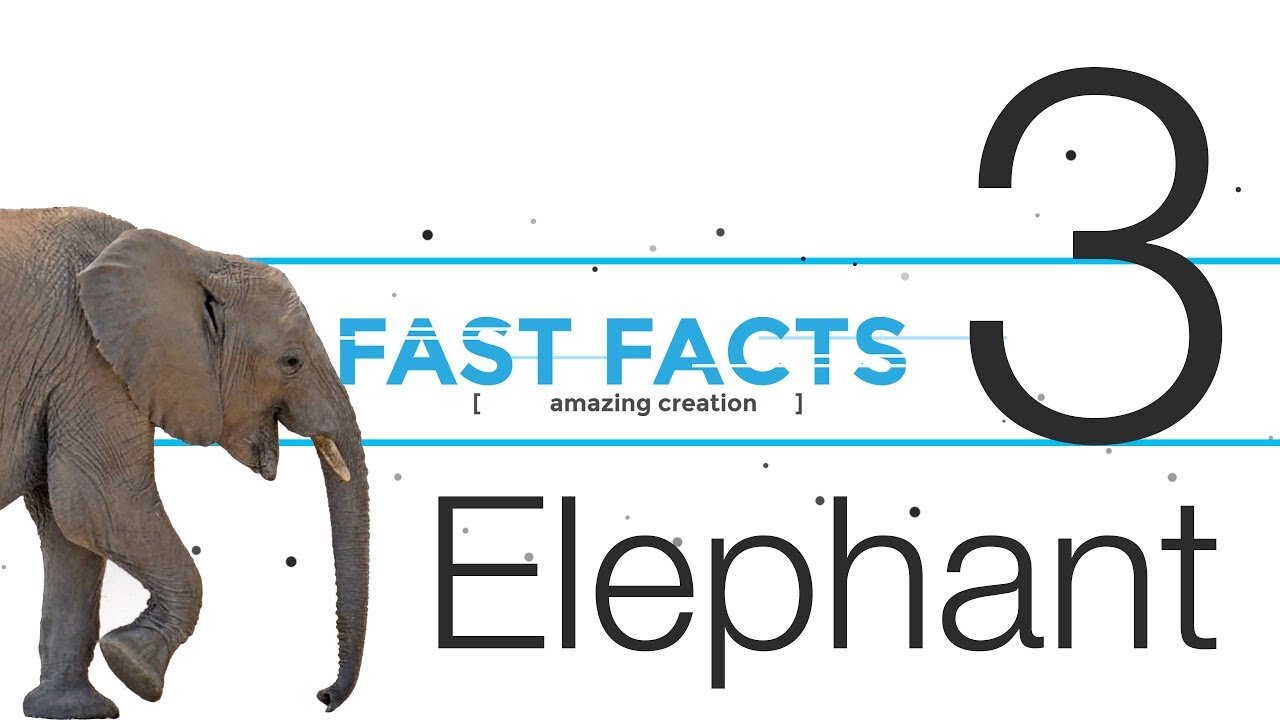 FFE3 | "Fast Facts" with Carl Kerby | Elephant | Episode 3 | Reasons for Hope