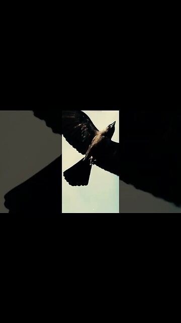 New Days, Old Demons | A New Series by Pastor Mark Driscoll