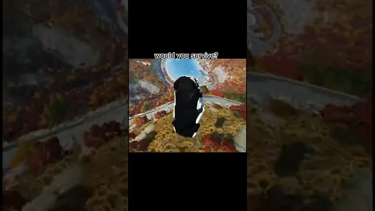 rides / BeamNG DRIVE