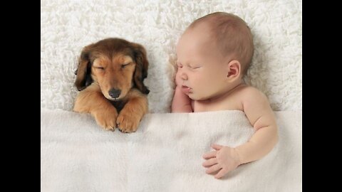 Baby vs Dog sleeping scene