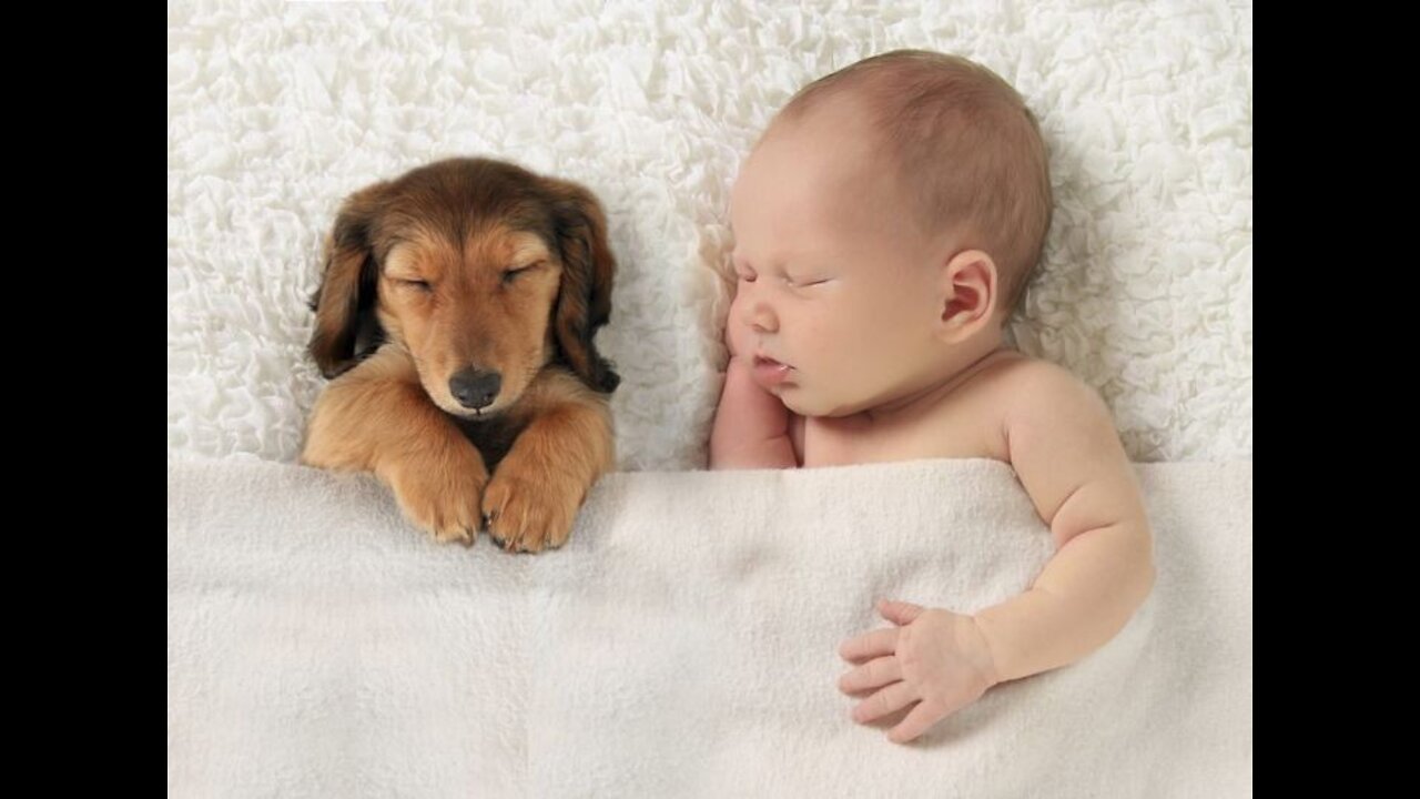 Baby vs Dog sleeping scene