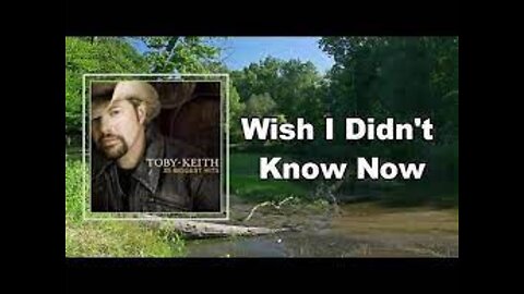 Toby Keith - Wish I Didn't Know Now