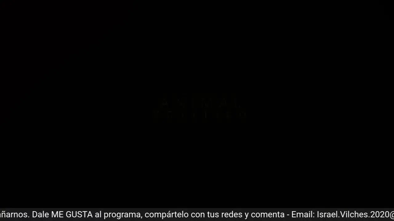 Política Pura y Dura: los 15" ...o 30" minutos de la CC / Reciben con balazos al subsecretario y más