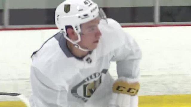 Report: Vegas Golden Knights strong in ticket revenue around NHL
