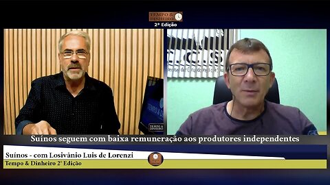 Suínos seguem com baixa remuneração aos produtores independentes