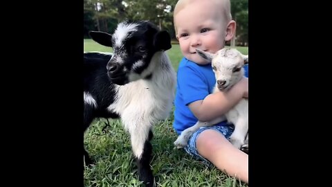 Cute kids & cute animals 🤩 Follow