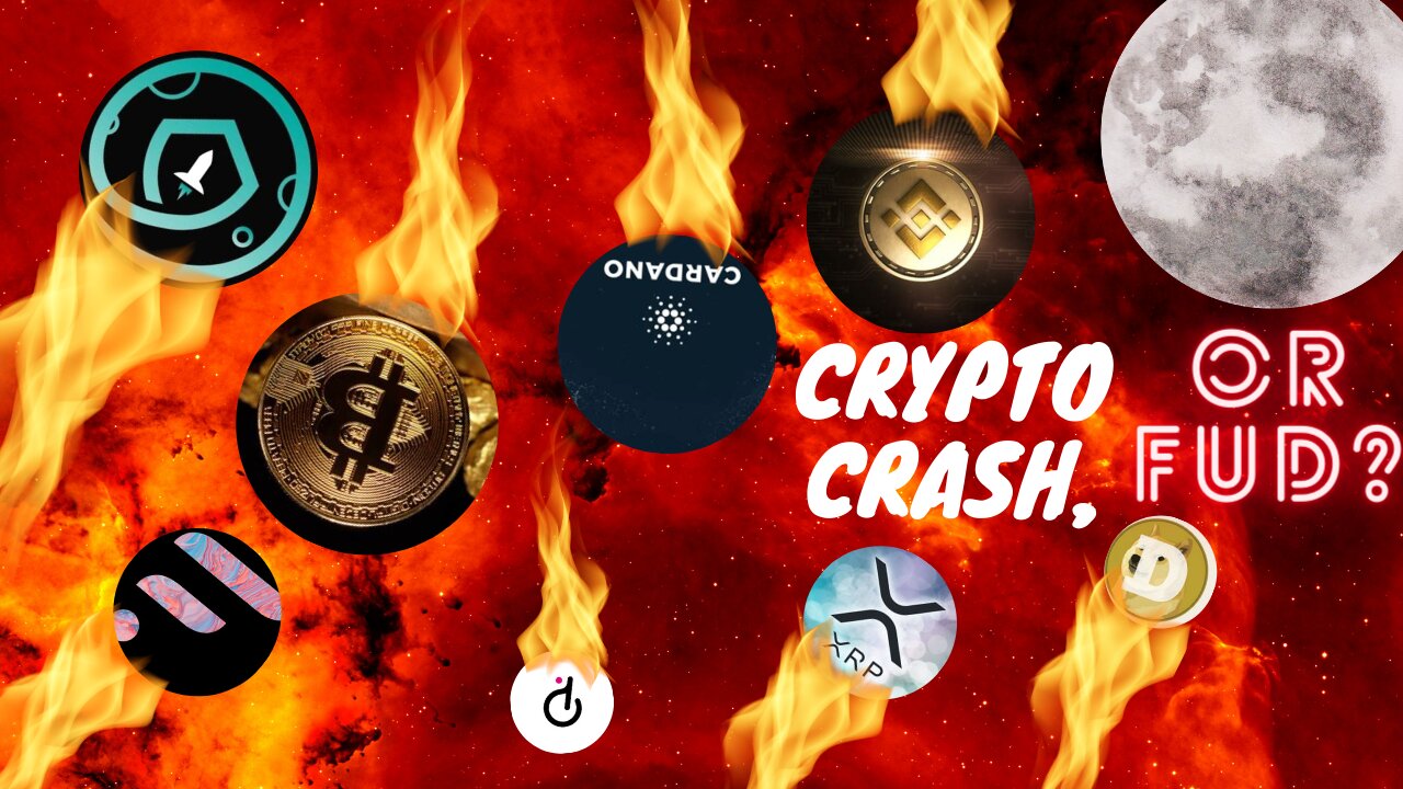 Crypto Crash or FUD?