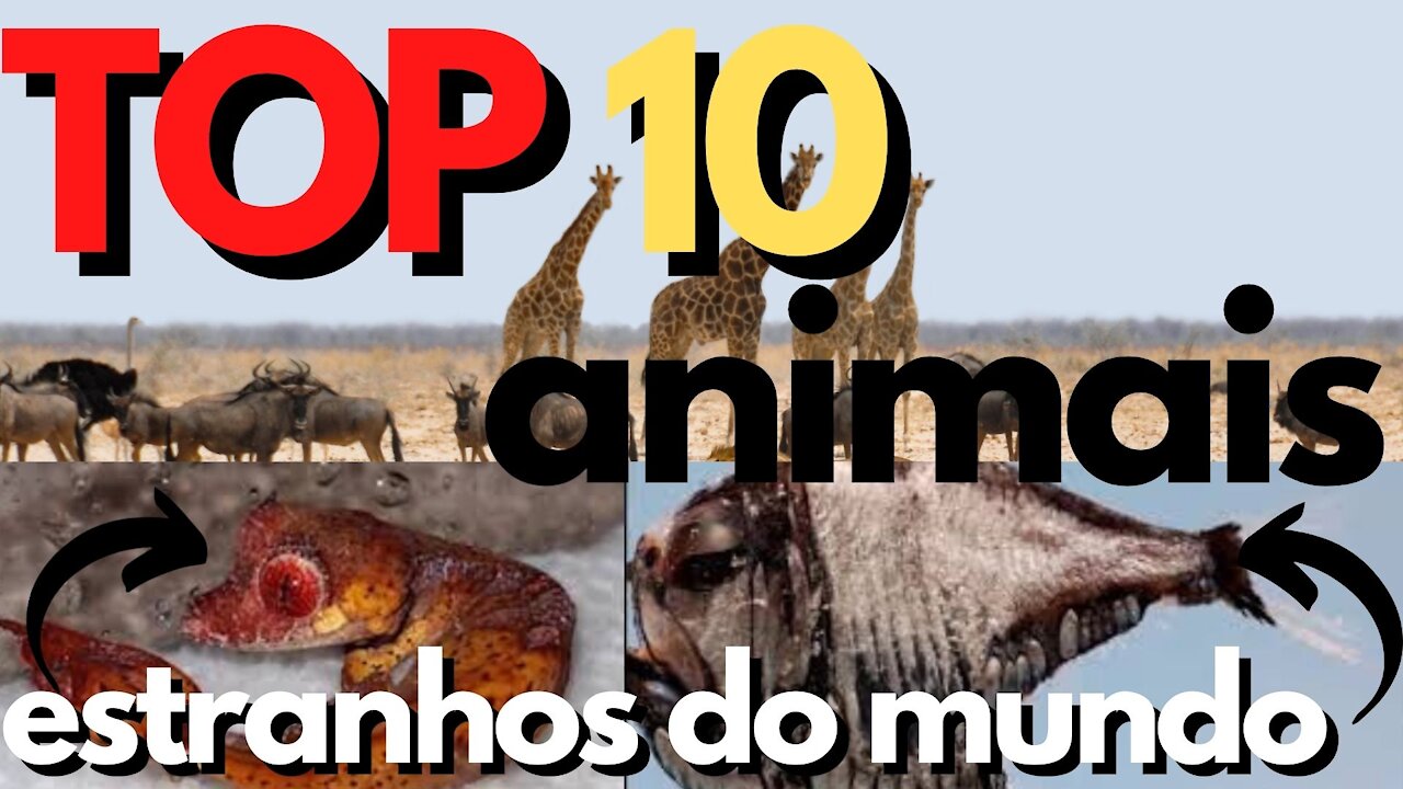 TOP 10 strangest in the world