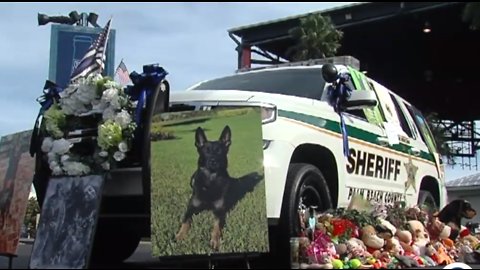 Memorial service to be held Thursday for PBSO K-9 killed in the line of duty