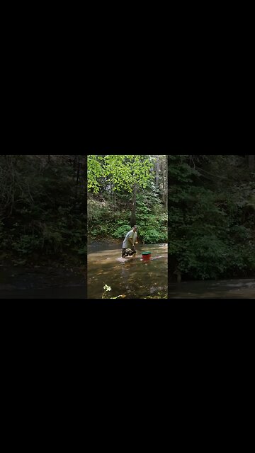 What I do for fun. #goldprospecting #goldmining #goldpanning