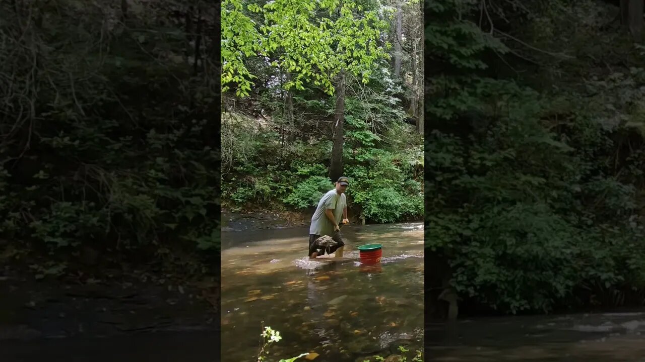 What I do for fun. #goldprospecting #goldmining #goldpanning