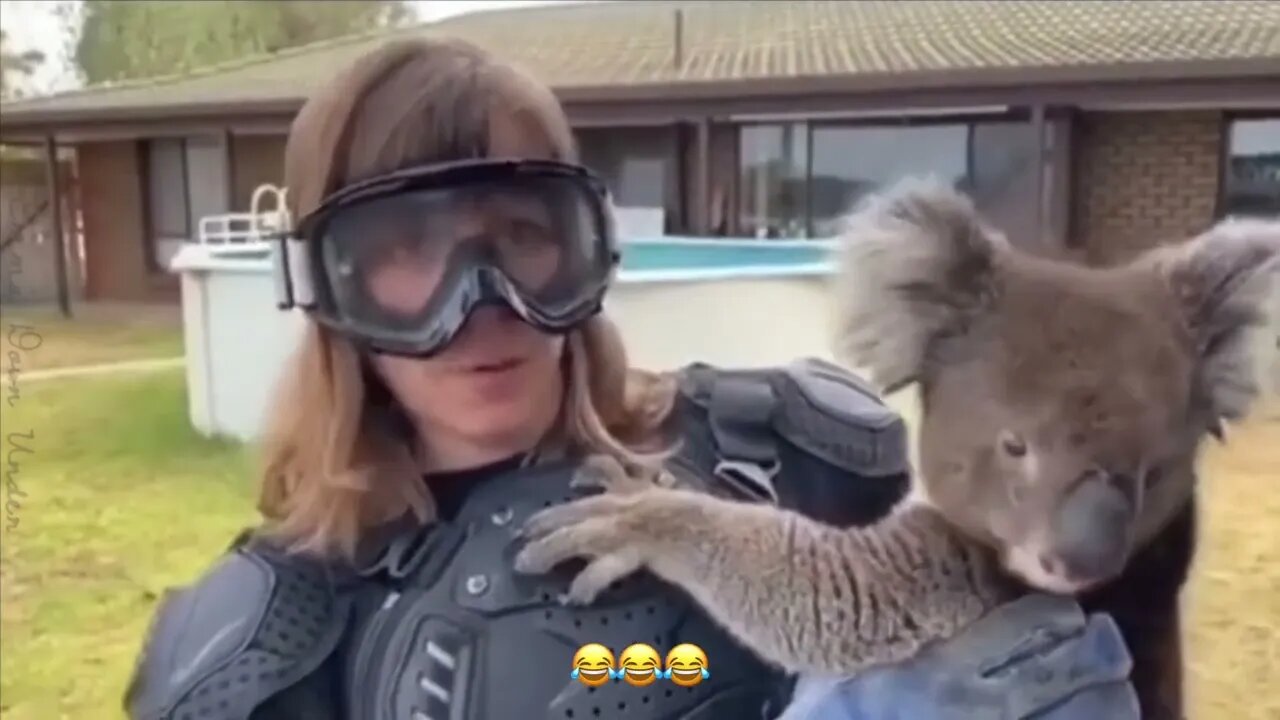 Drop Bears Report
