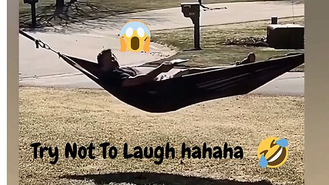 Laughters : Can You Try Not To Laugh | Fails 2023 | Funny Moments | Pranks | Animals Attacks