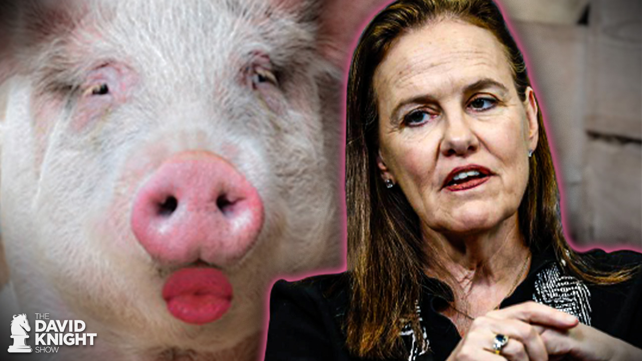 Identity Politics: Lipstick on the Military Industrial